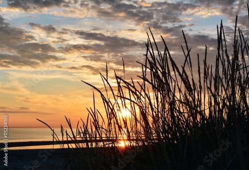 Grass against the background of evening sky and setting sun 