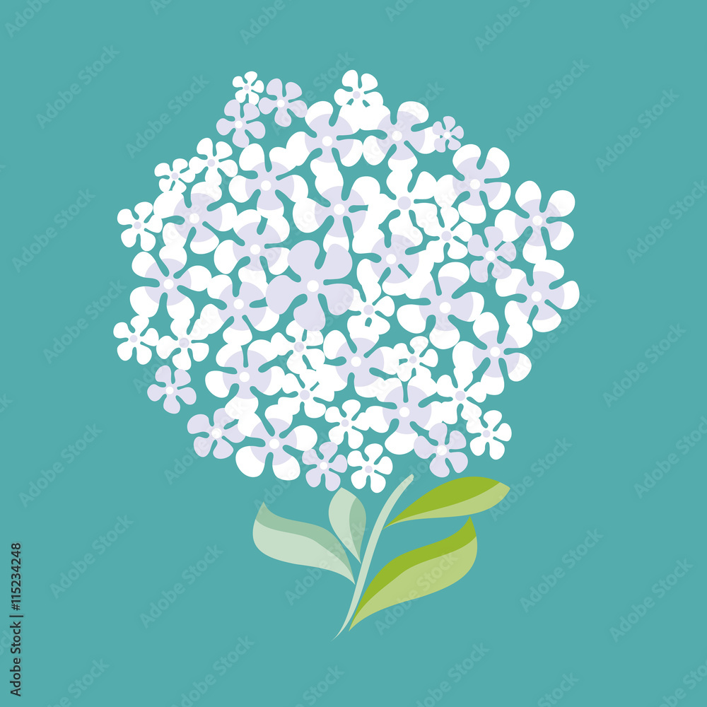 simple shape decorative hydrangea bunch. vector illustration