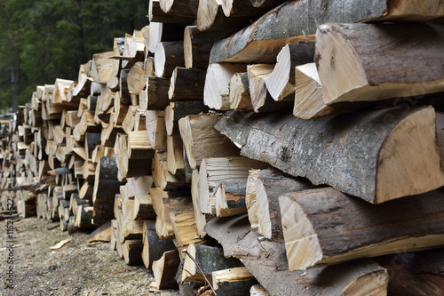 Pile of chopped wood in forest