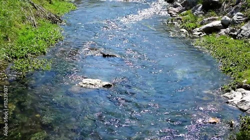 Bach im Frühjahr