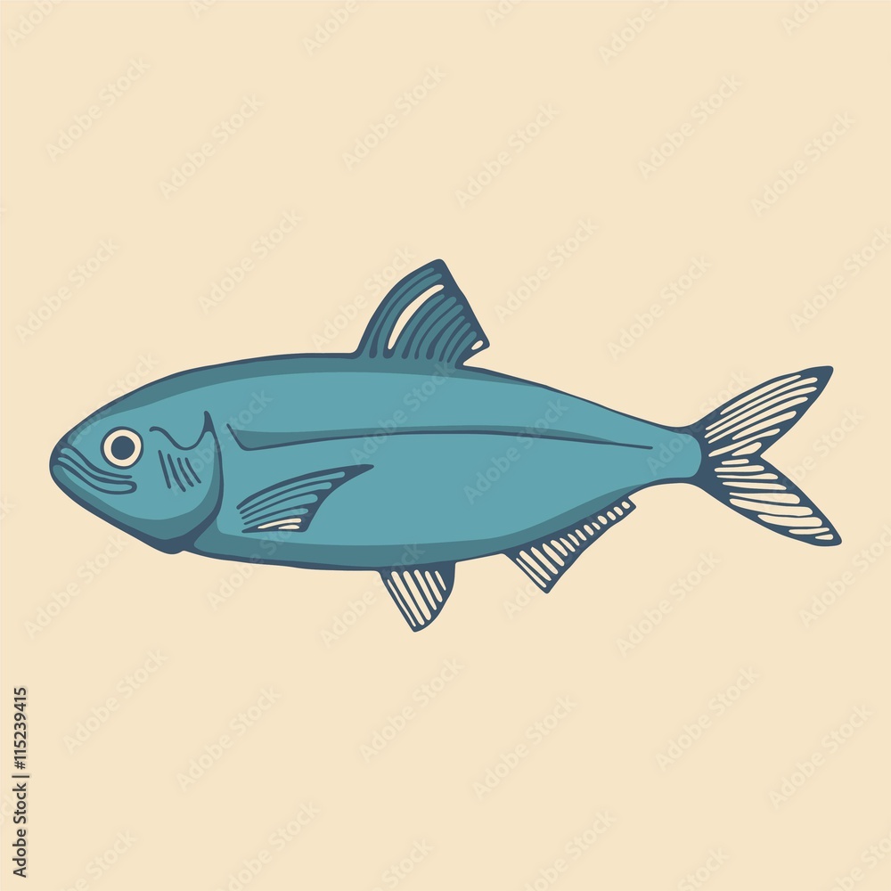 fish Herring. vector fish Herring. vector