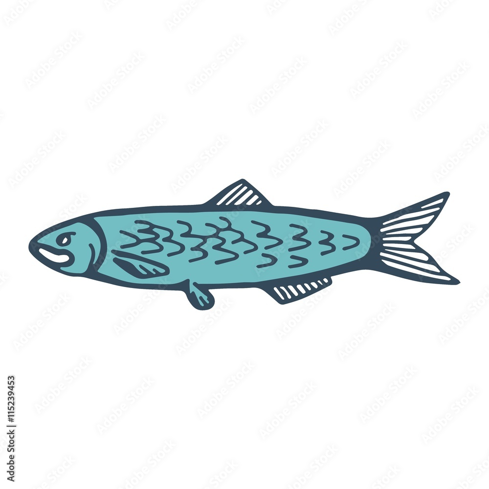 fish Herring. vector illustration fish Herring. vector illustration