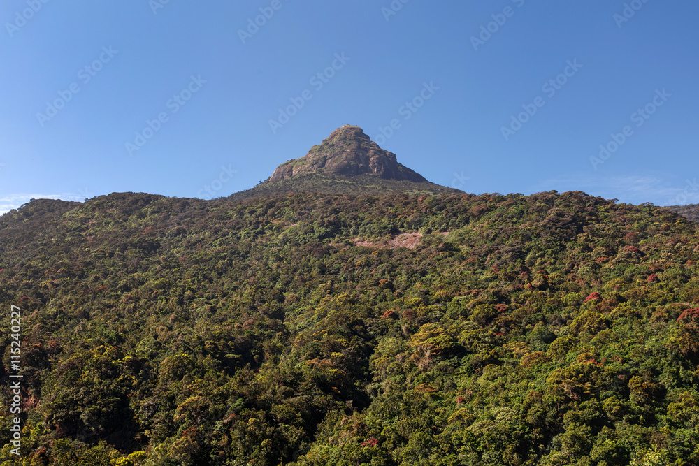 Sacred Mount Adam's Peak. Sri Lanka.