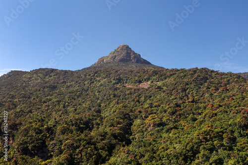 Sacred Mount Adam's Peak. Sri Lanka.