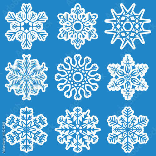 collection of different white snowflakes