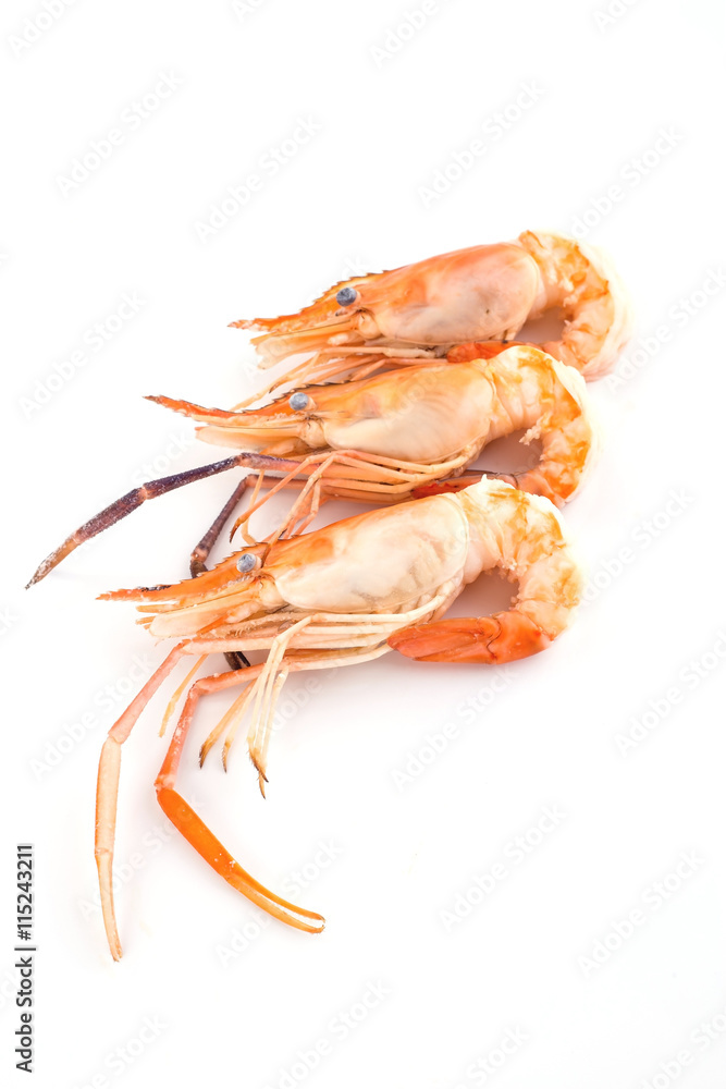 shrimp boil orange isolated on white background. shrimp boil orange isolated on white background.