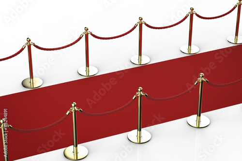 red carpet with rope barrier