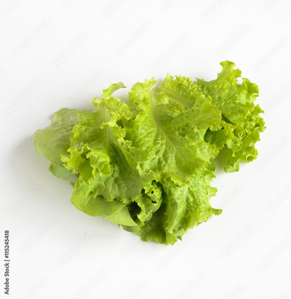Organic food. green salad leaves isoladen on white Organic food. green salad leaves isoladen on white