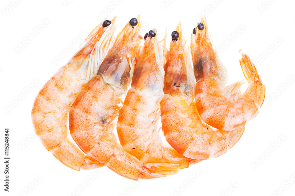 Fresh shrimp isolated on a white background Fresh shrimp isolated on a white background