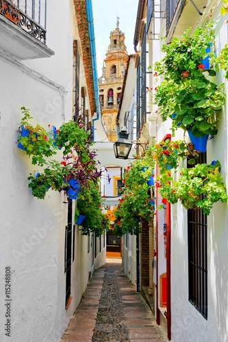 Fototapeta Naklejka Na Ścianę i Meble -  Famous flower filled lane in the Old Town of Cordoba, Spain with cathedral tower
