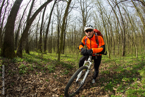 Biker on the forest road