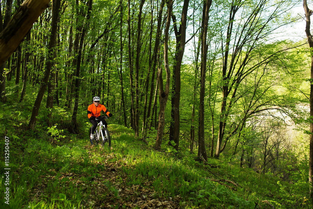 Naklejka premium Biker on the forest road