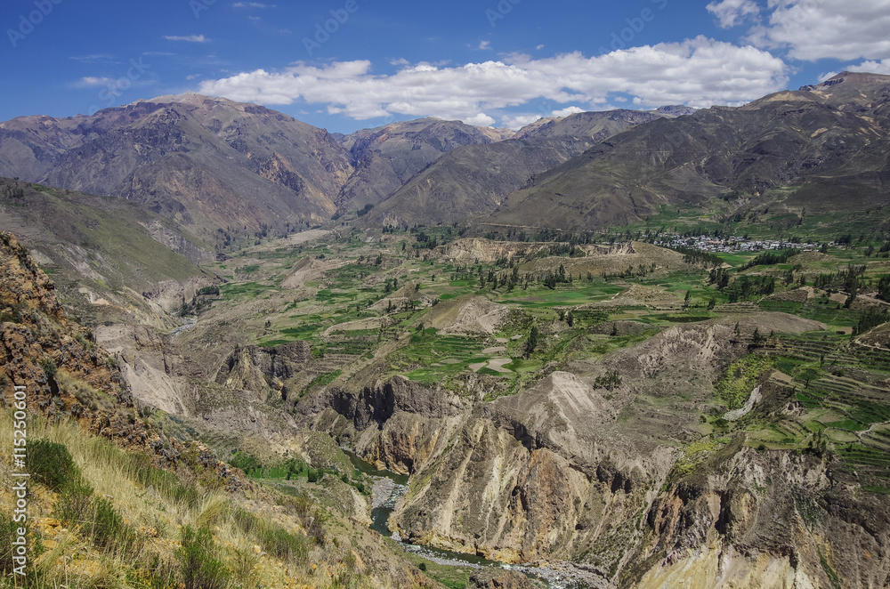 Colca Canyon panorama, Peru,South America. Incas to build Farming terraces. Colca Canyon panorama, Peru,South America. Incas to build Farming terraces.