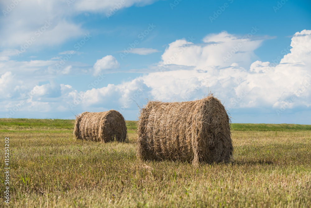 Haymove in the field Haymove in the field