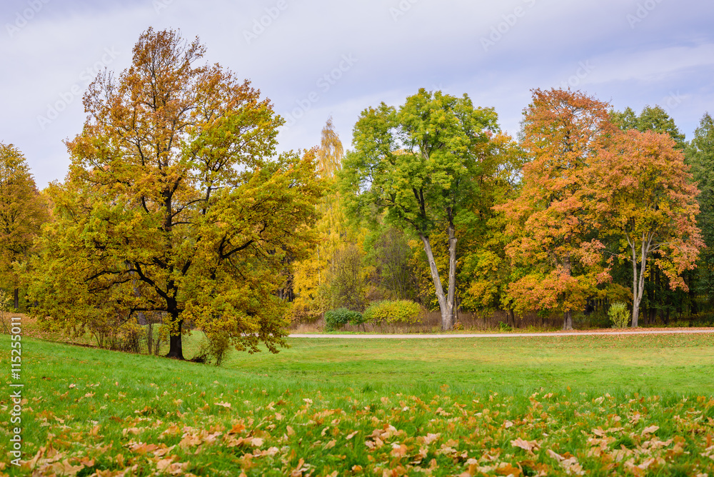 Beautiful autumn landscape, Saint-Petersburg, Russia. Beautiful autumn landscape, Saint-Petersburg, Russia.