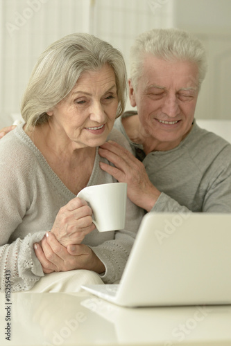 Senior couple with laptop