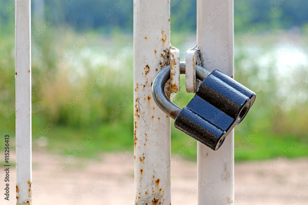 Fototapeta premium The black lock on gate against a green grass and the road