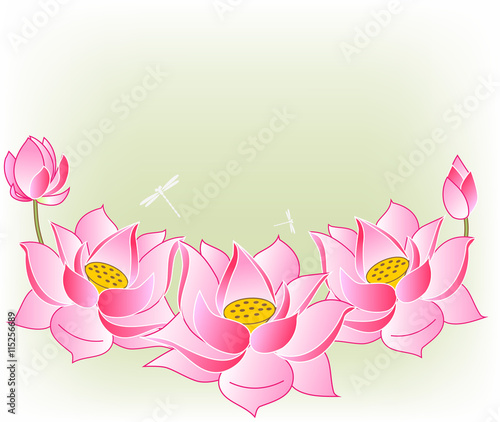 Fototapeta Naklejka Na Ścianę i Meble -  pink lotus flowers