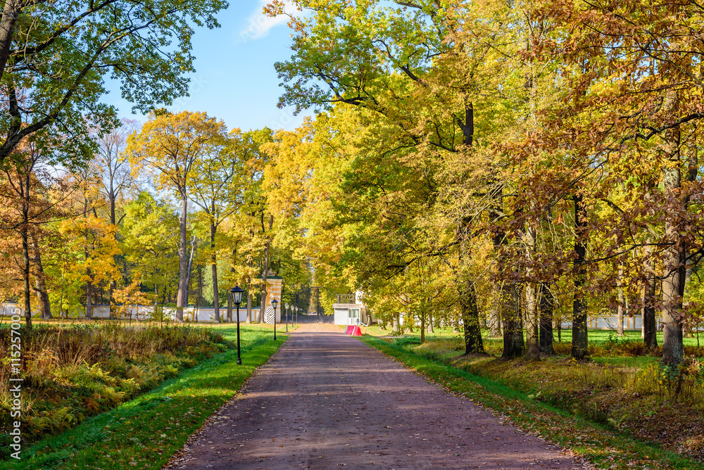 Beautiful alley in the Park at the autumn, Saint-Petersburg, Russia.