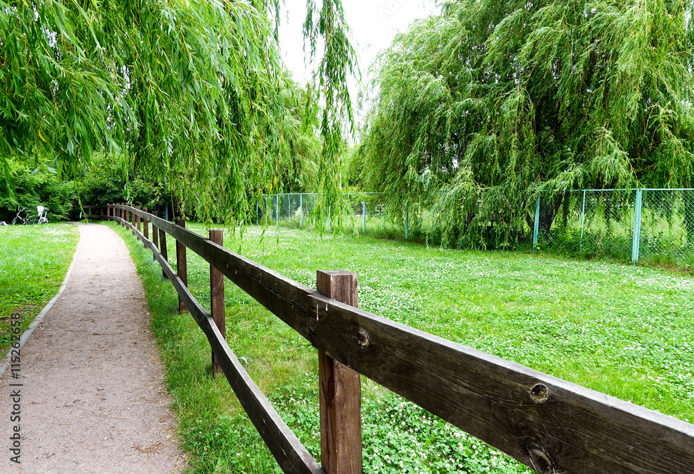 The path along the fence The path along the fence
