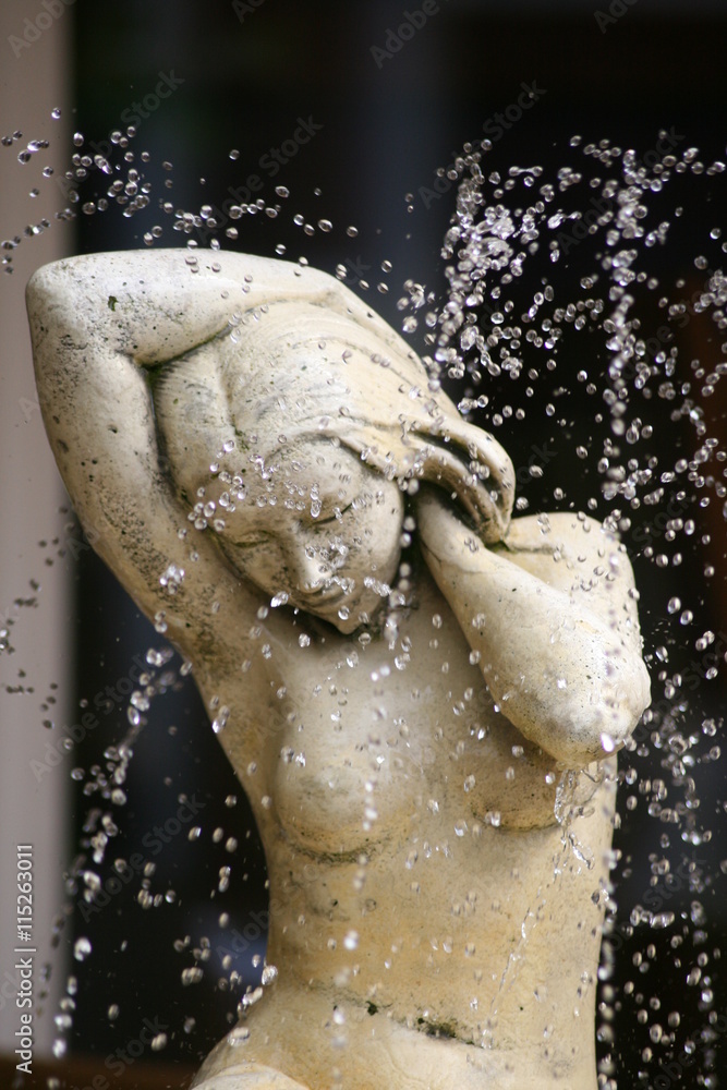 Fototapeta premium Insel Springbrunnen