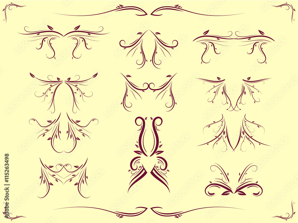Fototapeta premium vintage calligraphic