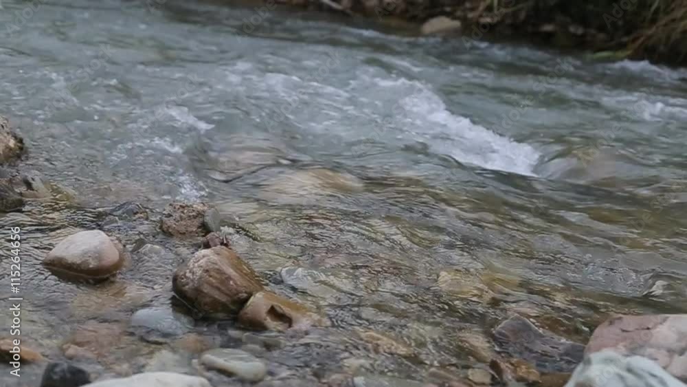 A river flows over rocks in this beautiful scene in the mountains in autumn A river flows over rocks in this beautiful scene in the mountains in autumn