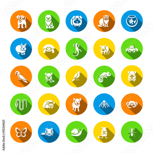 Animals pets vector flat silhouettes round icons set. Colorful pictograms of various domestic mammals, rodents, amphibian, insects, birds, reptiles, which people own at home. Petting zoo symbols