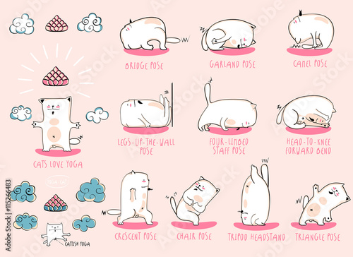 White Yoga Cat set