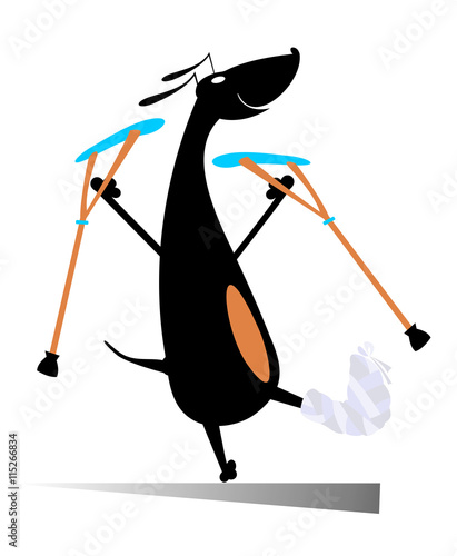 Injured dog. Comic dog with bandage and crutches
