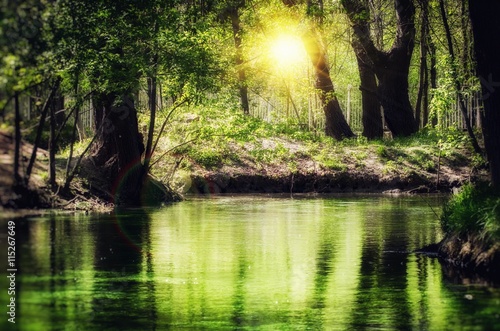 Fototapeta Naklejka Na Ścianę i Meble -  Magic Emerald River In Forest