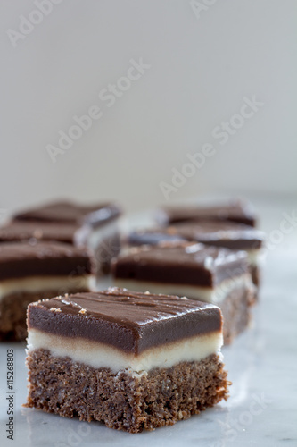Chocolate Peppermint Slice with Selective Focus Front View