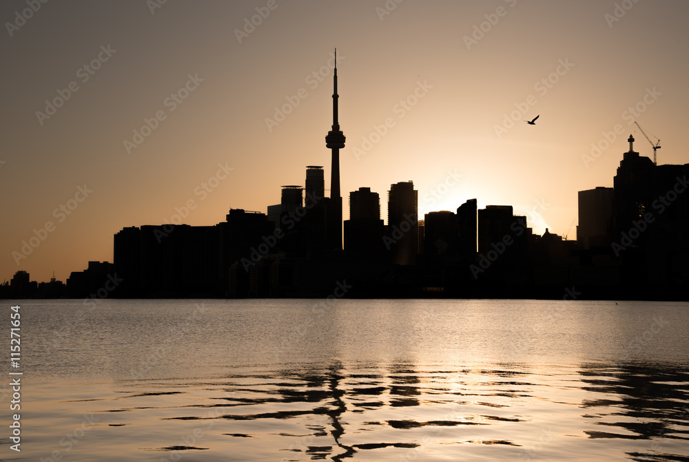 Fototapeta premium TORONTO SKYLINE SILHOUETTE