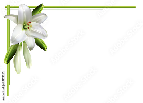 Greeting card, or wedding invitation, with white lilies.