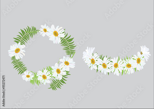 bouquet of dahlia and with daisy flower with friend,design for object or background