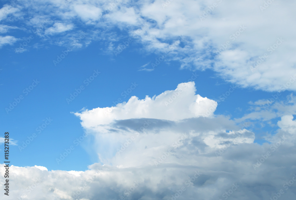 Fototapeta premium blue sky