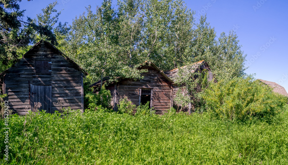 Old farm sheds on the prairies in Saskatchewan on a summer day. Old farm sheds on the prairies in Saskatchewan on a summer day.