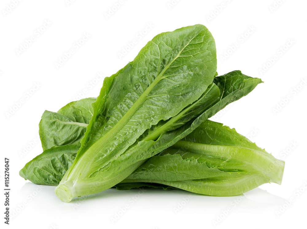 fresh cos (lettuce) on white background