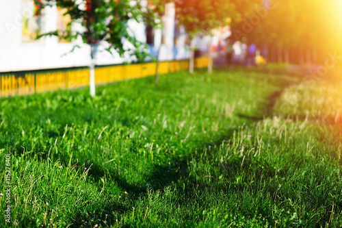 Fototapeta Naklejka Na Ścianę i Meble -  Summer lawn path landscape background