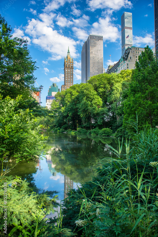 Pond in New York City Central Park at summer against skyscrapers and blue sky. City attraction and place of tourist interests.