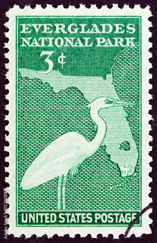 Great Blue Heron and Map of Florida (USA 1947)