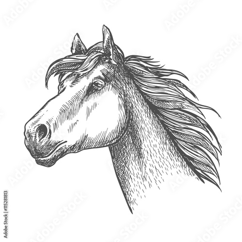 Galloping horse of andalusian breed sketch symbol