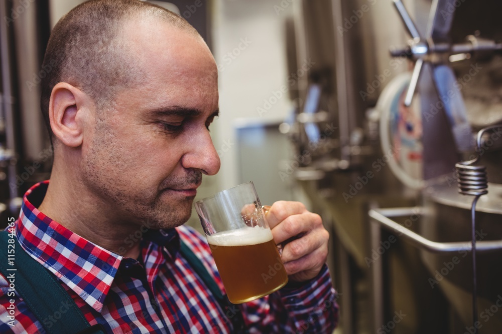 Manufacturer smelling beer in mug at brewery Manufacturer smelling beer in mug at brewery