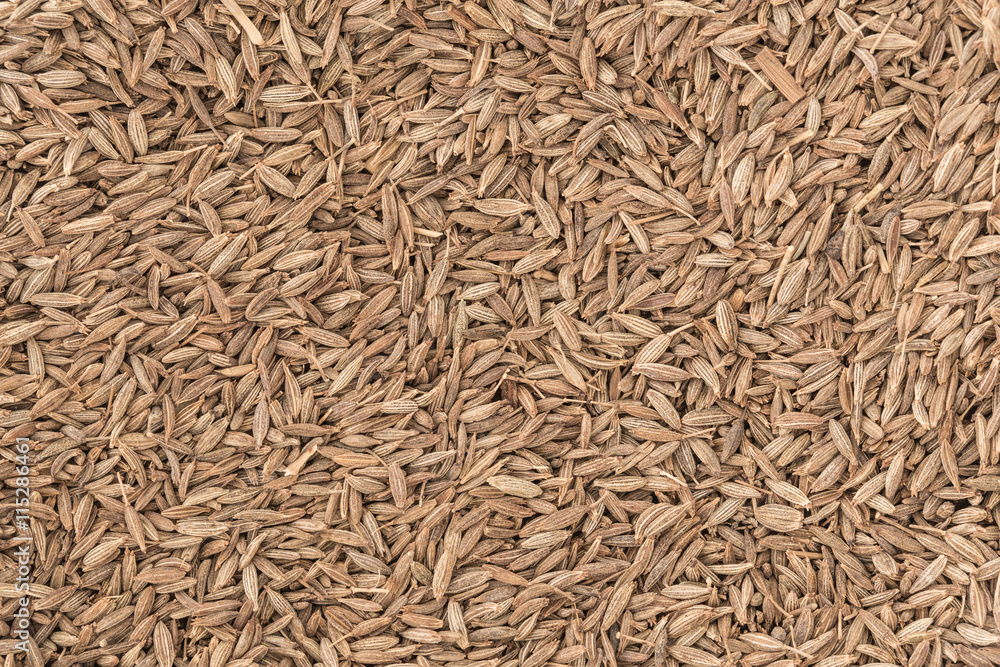cumin dried herb for food aroma and natural medicine.
