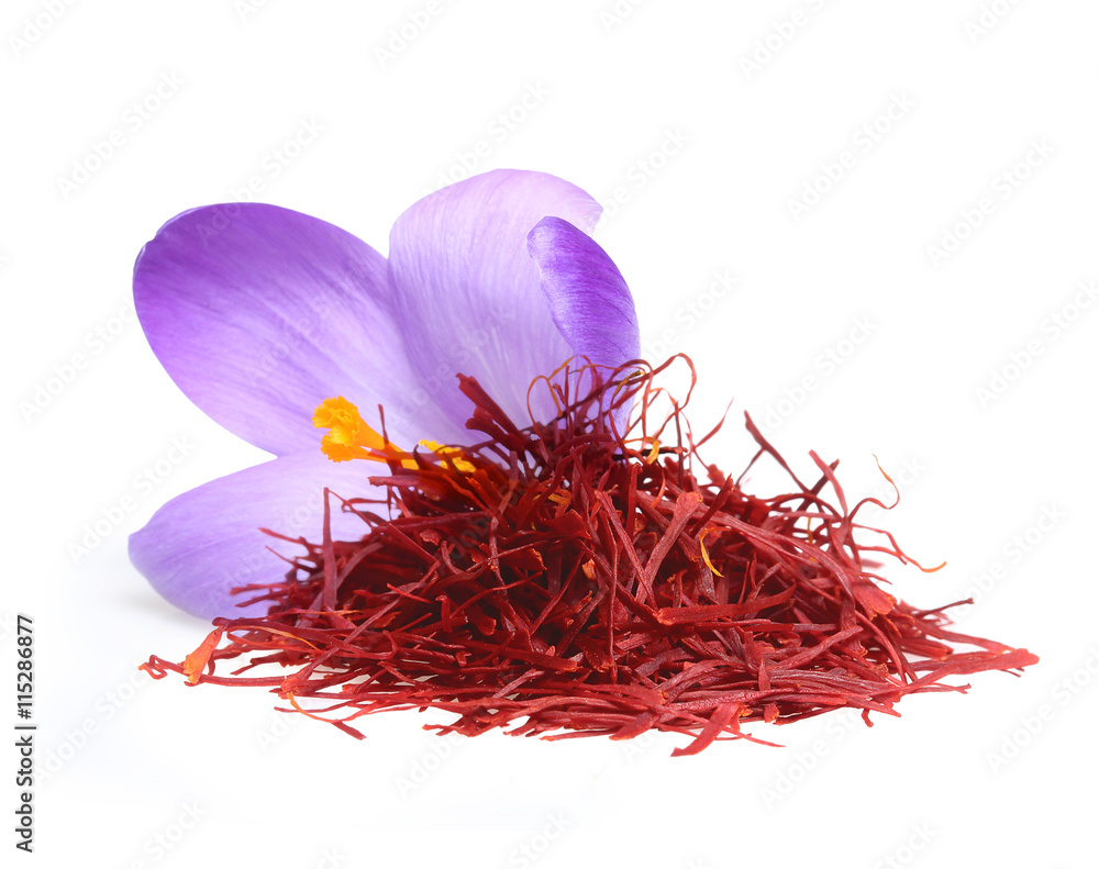 Naklejka premium Flower crocus and dried saffron spice