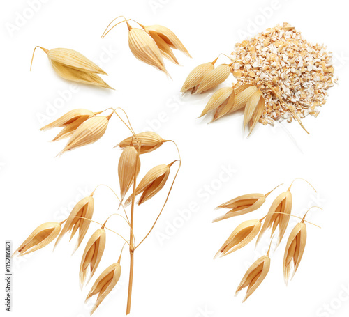 Oat ears of grain and bran isolated 
