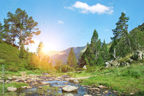 Landscape with mountains trees and a river in front.