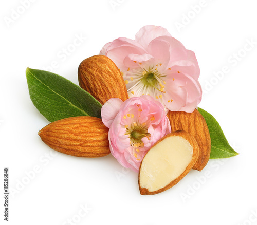 Almonds nuts with flower isolated