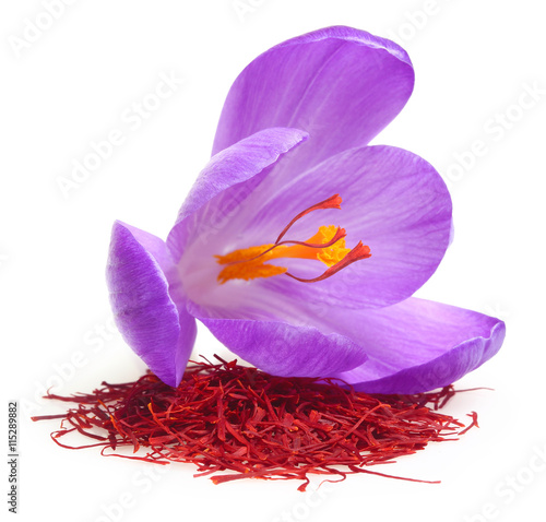 Flower crocus and dried saffron spice photo