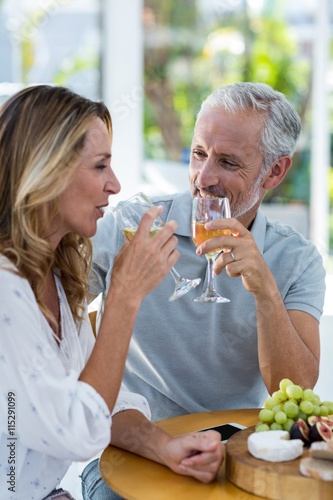 Mature couple drinking wine
